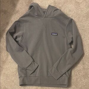 Patagonia Gray Hoodie with Logo Patch